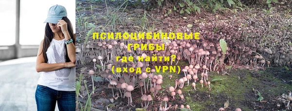шишки Алексеевка