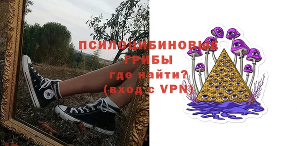 шишки Алексеевка