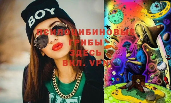 шишки Алексеевка
