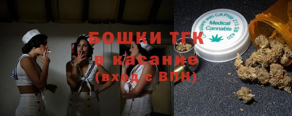 ПСИЛОЦИБИНОВЫЕ ГРИБЫ Алзамай