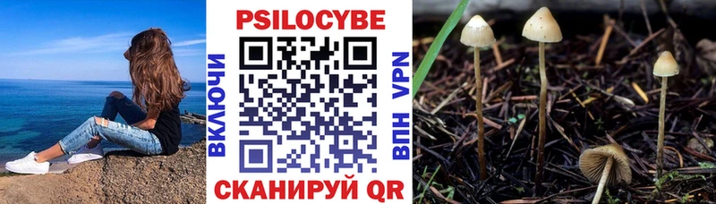 Галлюциногенные грибы прущие грибы  Березники 