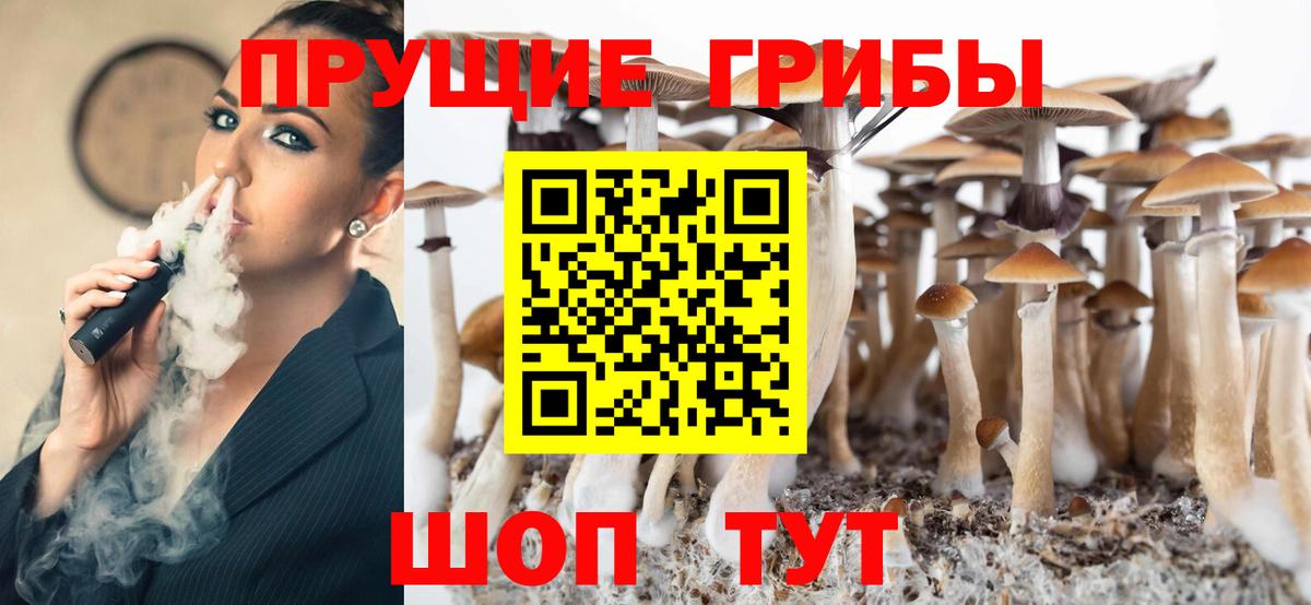 Псилоцибиновые грибы Psilocybine cubensis  Вход с VPN  Березники 